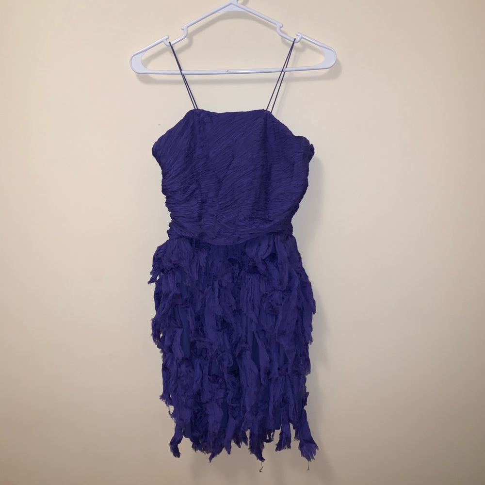 Purple Designer Elizabeth and James formal dress